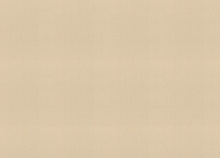 Водостойкие обои Rasch Florentine Incanto 977608